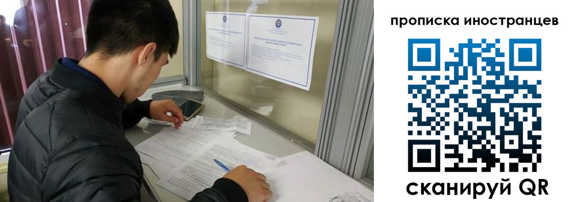 прописка в Палласовке